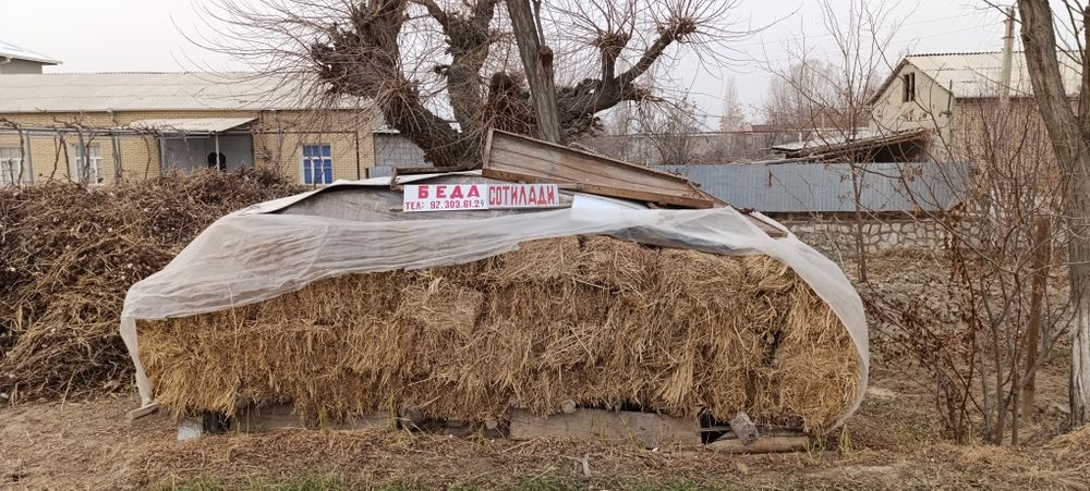 Беда прес сотилади 20000 сумсум