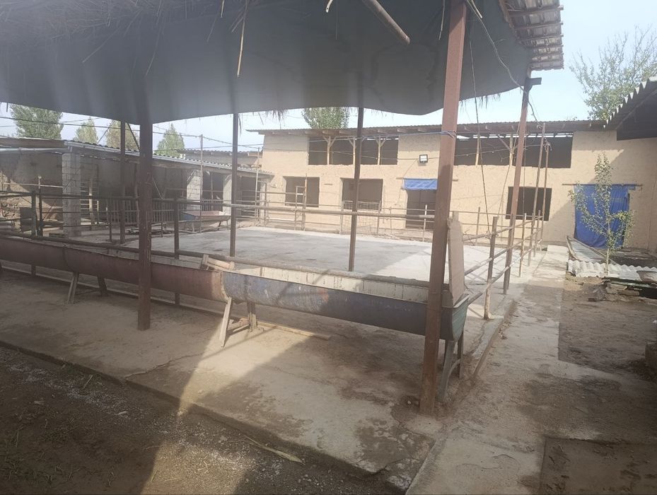 Uy /fema 8 sotix 3 ta xona oshxona