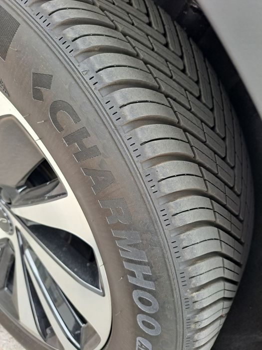 Chinpion   605  talik  flagship