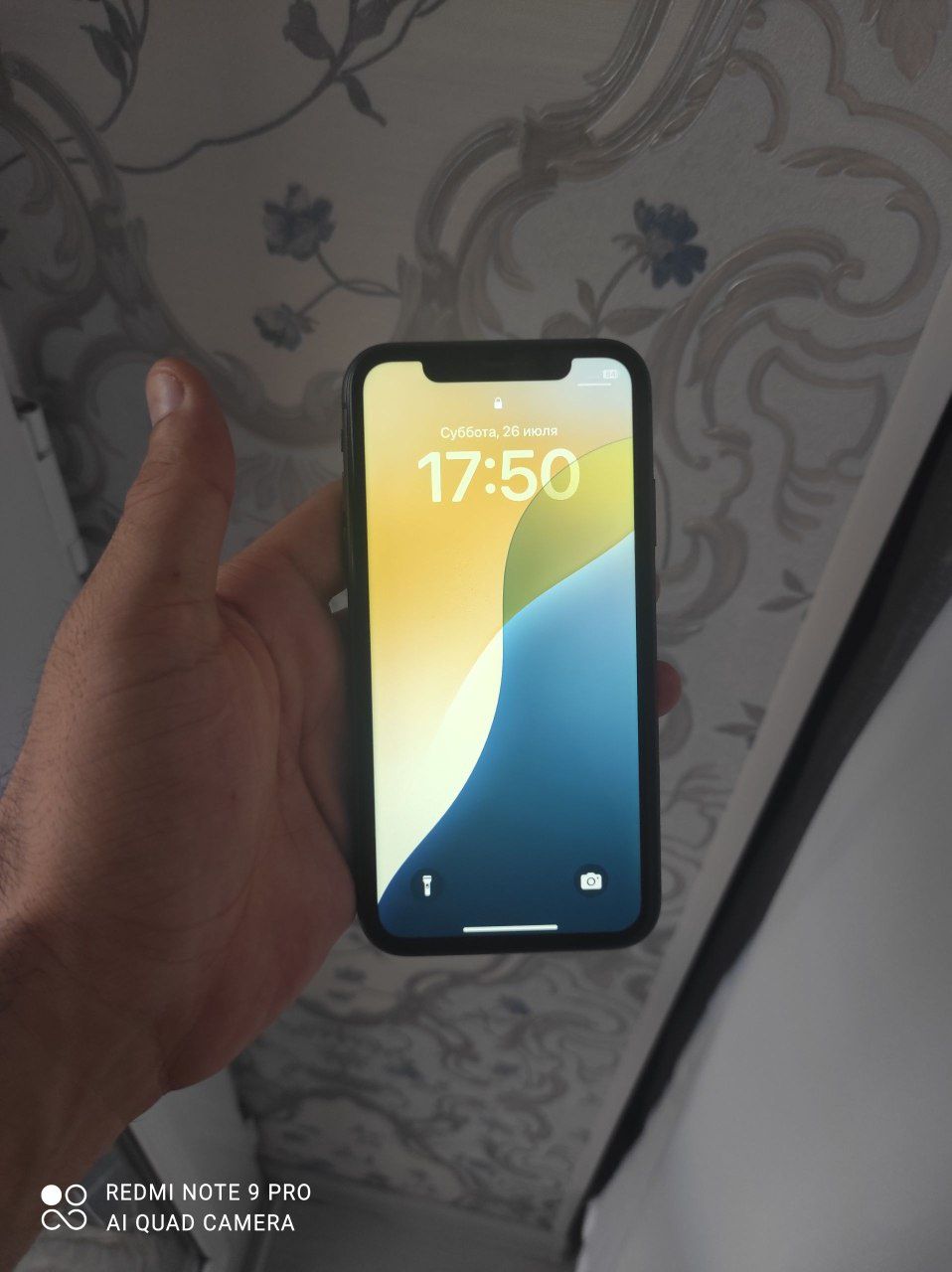 iPhone 11 holati alo nok