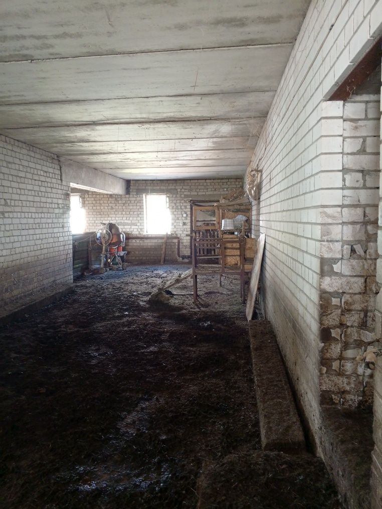 Жеке шаруашылық.