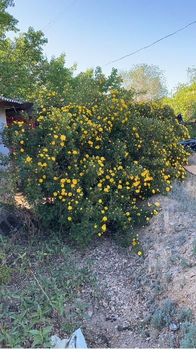 Продаётся Дача