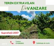 Teren de vânzare, Saldabagiu de Munte, la 500 m de str. Gheorghe Doja