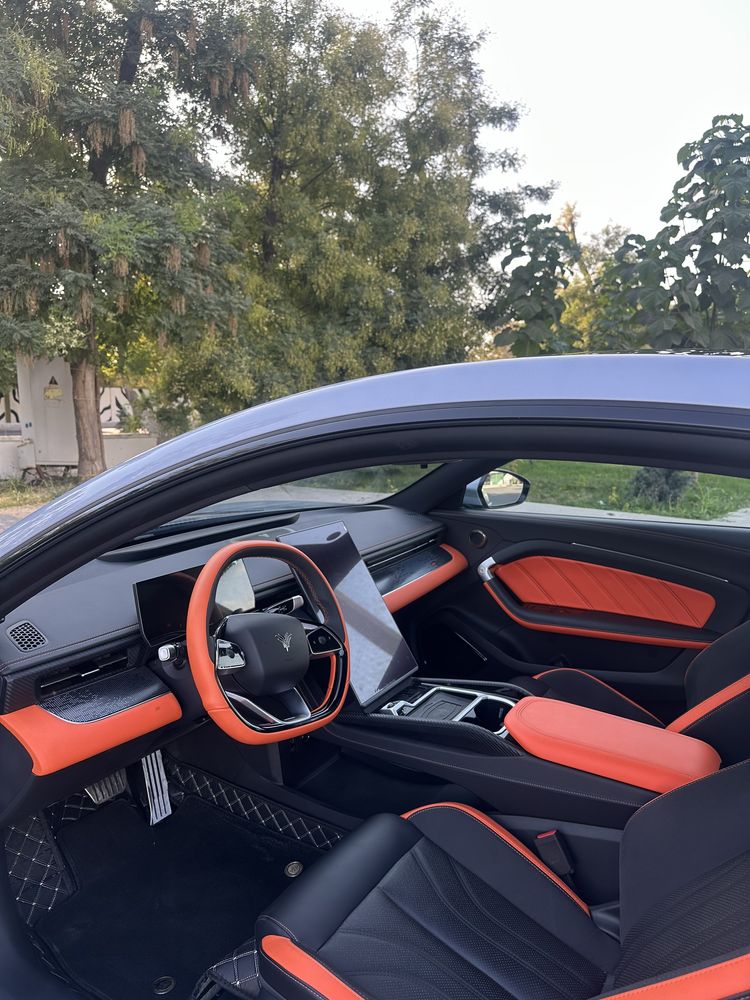 Neta GT dual motor
