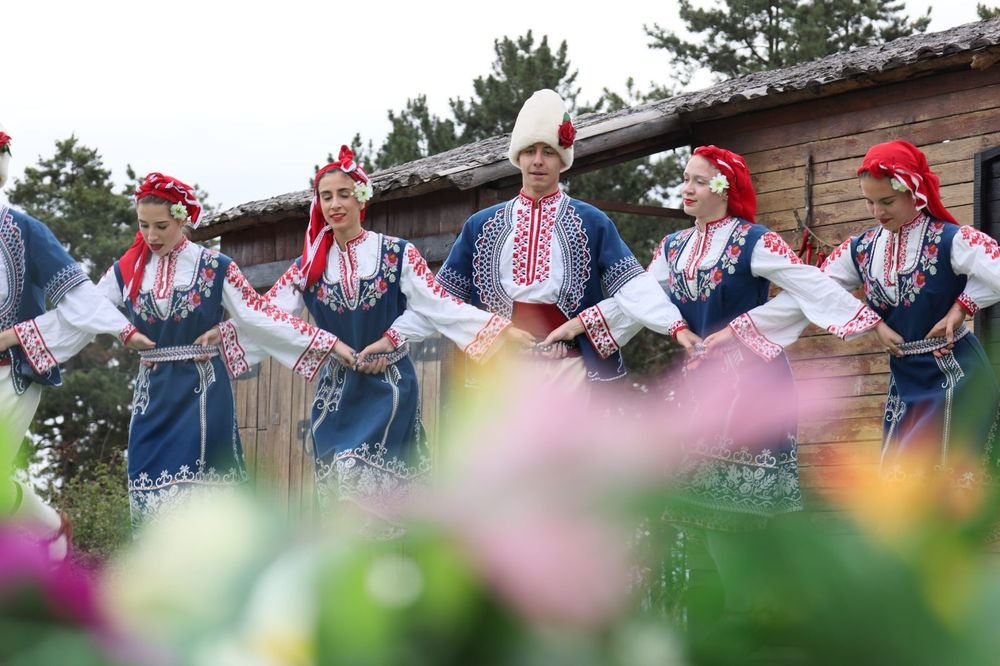 Професионална фотосесия