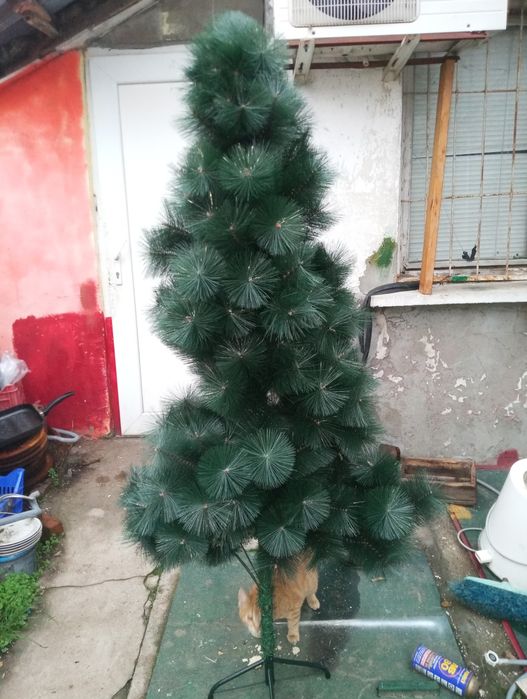 Коледна Елха..елха