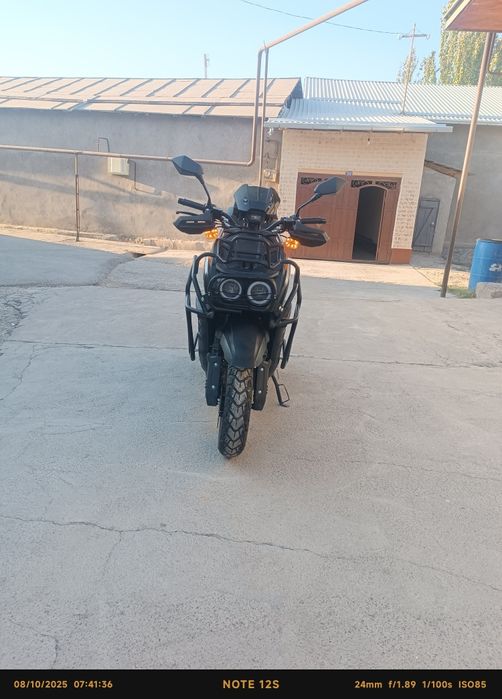 Cavalon- Tank 1 2504