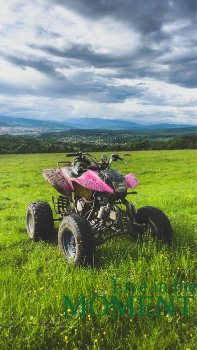 Vand atv bashan 250!