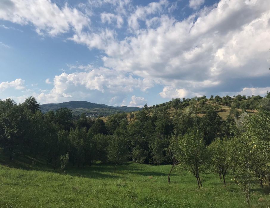 Teren intravilan, sat Catunu, comuna Drajna, Prahova