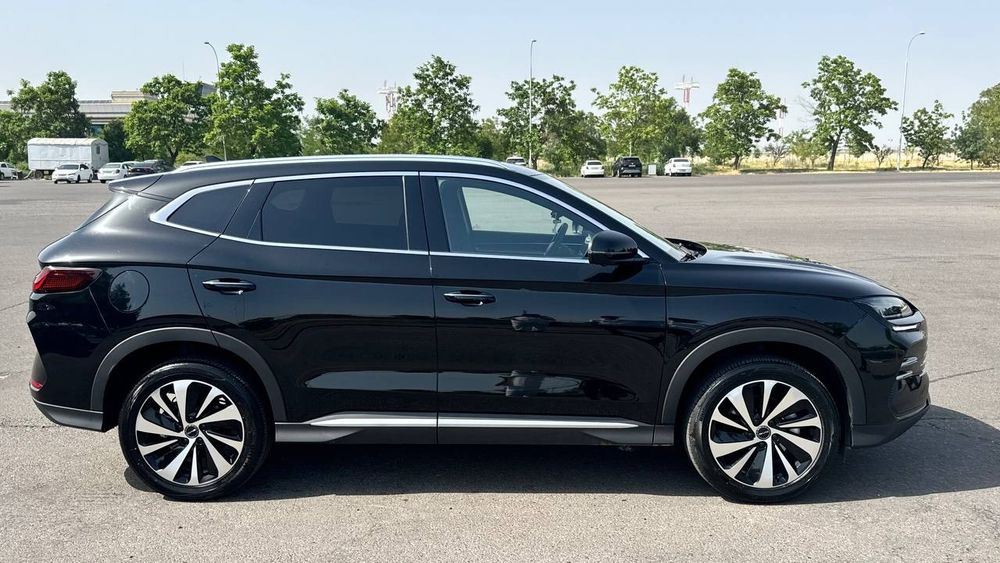 Продается чемпион Сонг Byd