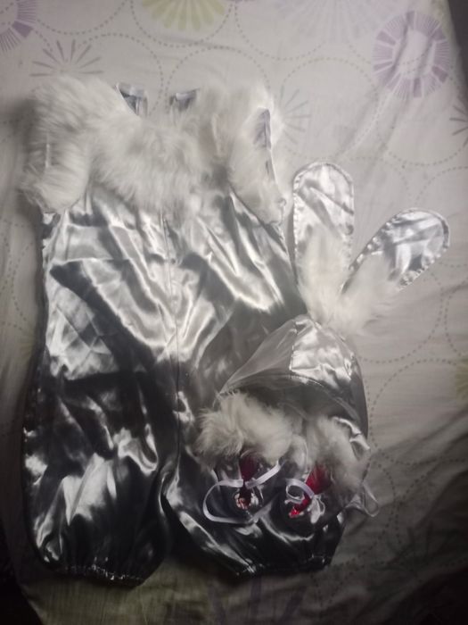 Костюм Зайца, нахожусь в районе Защитенский Элеватор