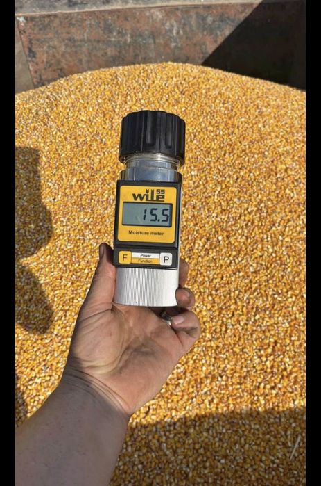 Malai Uscat Porumb Graunte