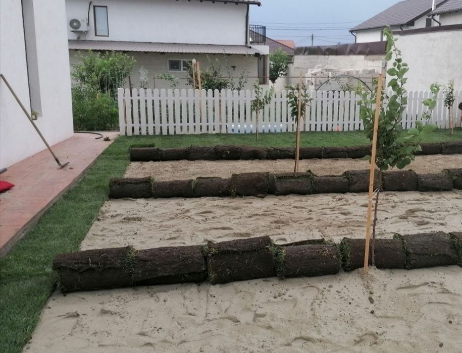 Gazon rulou 24 de lei m2. Transport și montaj inclus în preț.