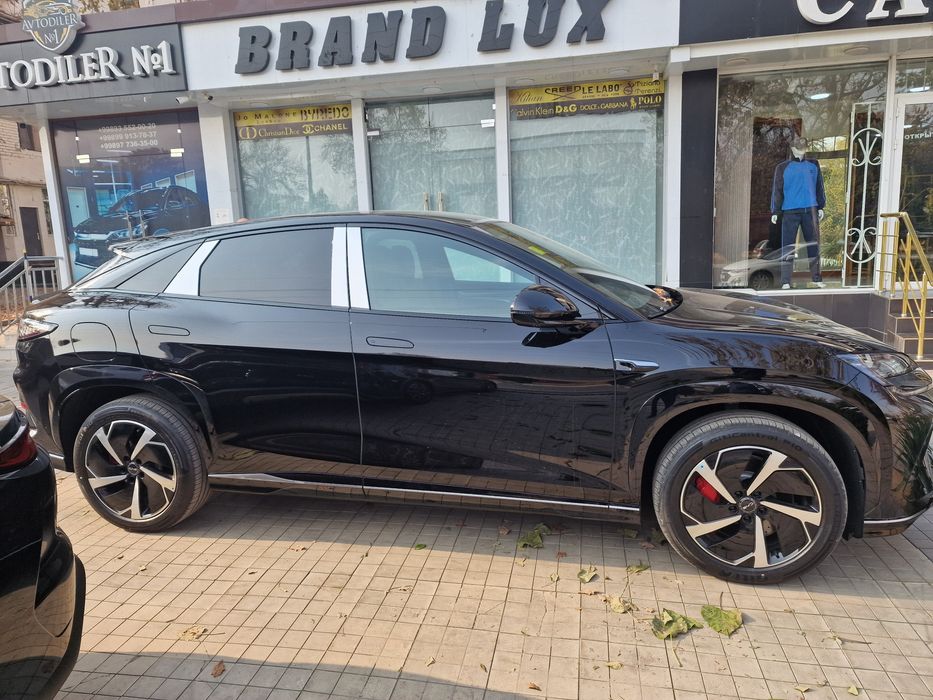 Byd sealiom 07  2025