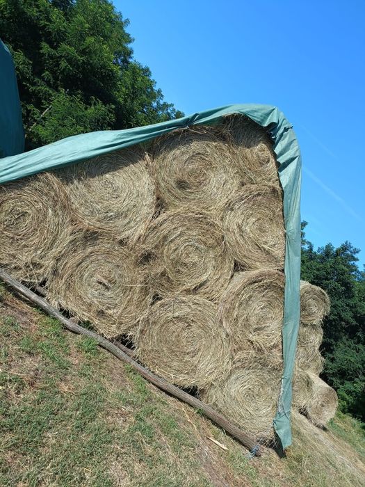 Vând baloți rotunzi