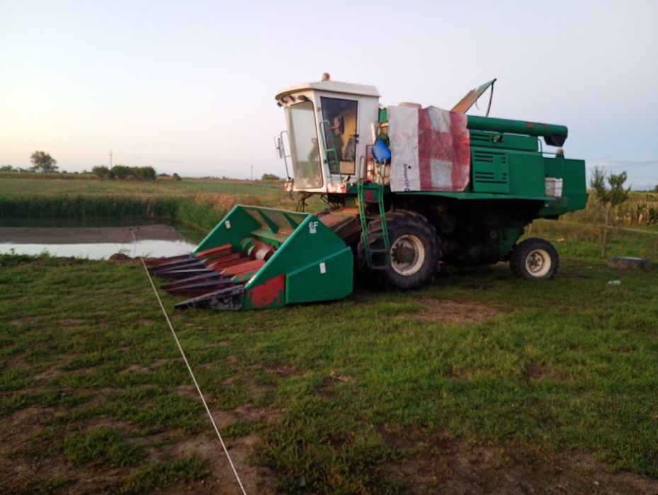 conbina sema 110 mli cu doua mese de grîu și floarea soarelui