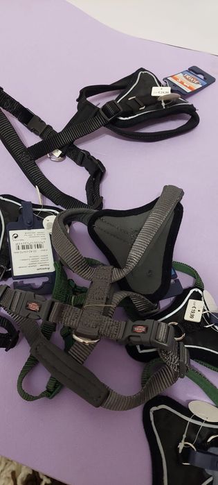 Hamuri pentru cainii marimi XS-XL