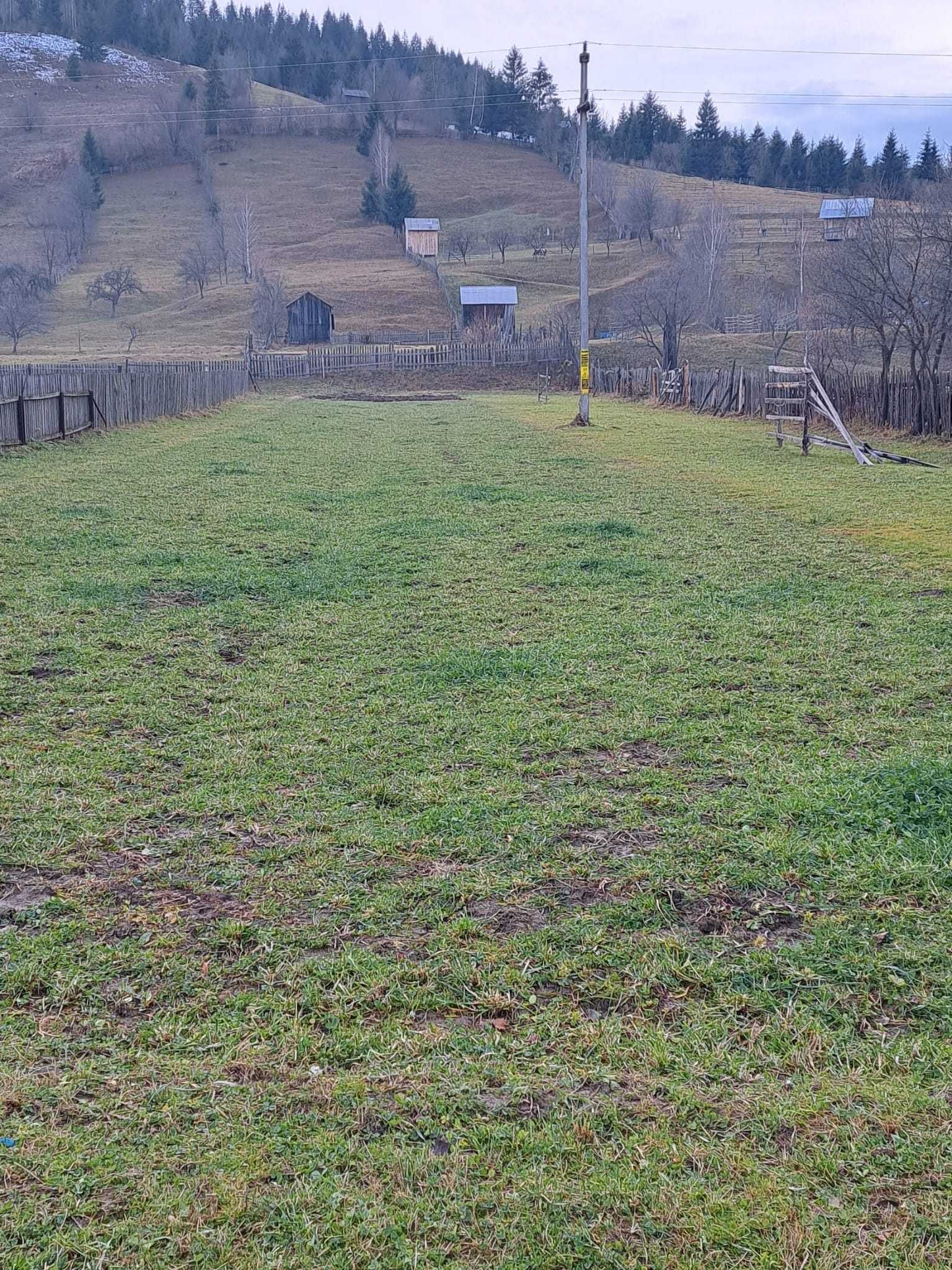 Teren intravilan, comuna Vama, sat Strâmtura | BUCOVINA |