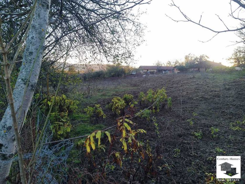 116250 Голям парцел в регулация в с. Плаково, 15 км. от Велико Търново