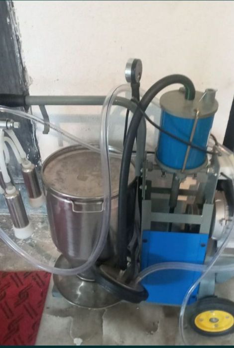 Доильный аппарат