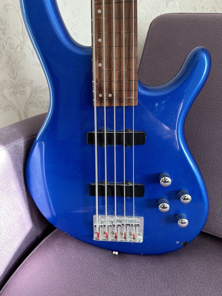 Cort Action Bass V Plus 5-string