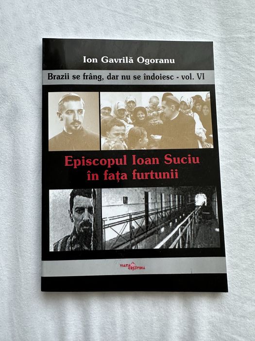 Brazii se frang dar nu se indoiesc volumul VI Ion Gavrila Ogoranu