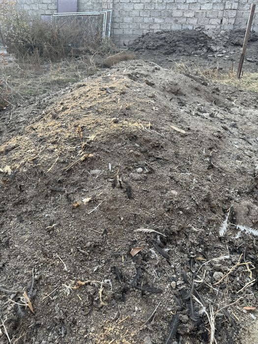 Гунг , куриный помет, удобрение , gong, o’g’it