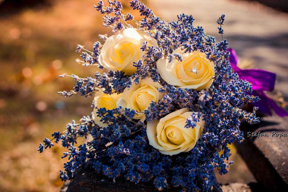 Fotograf, foto evenimente