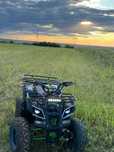 Atv KXD 125cm³  toba sport cu db killer