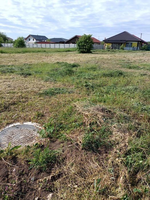 Teren intravilan Dumbrăvița urgent