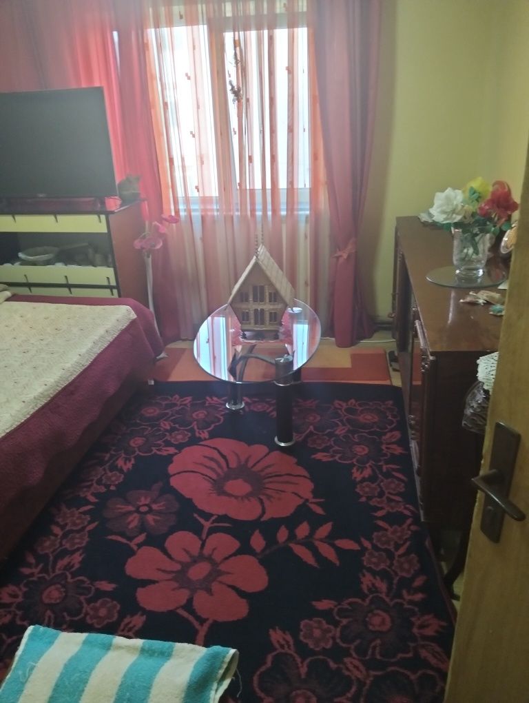Apartament 4 camere Brosteni