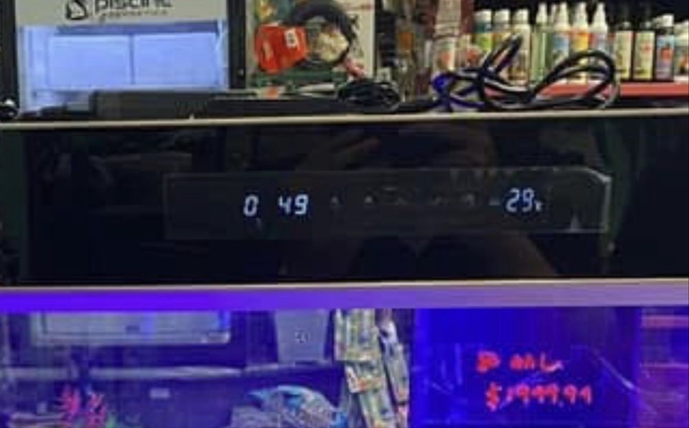Cleair Aquatics akvariumlari uchun xizmat