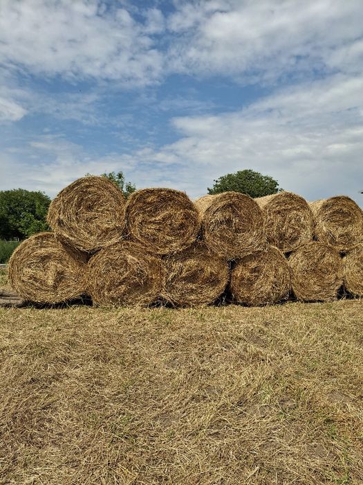 Baloti  de fan 120/120