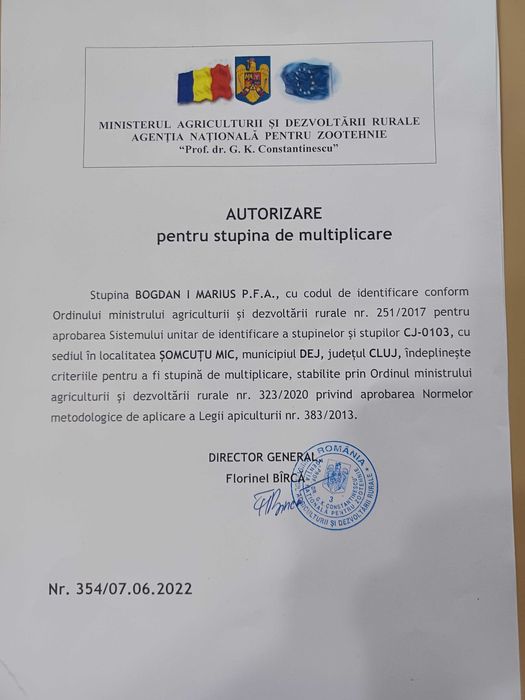 Familii de albine