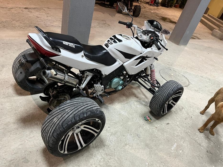 Vând ATV Genata 2010 !