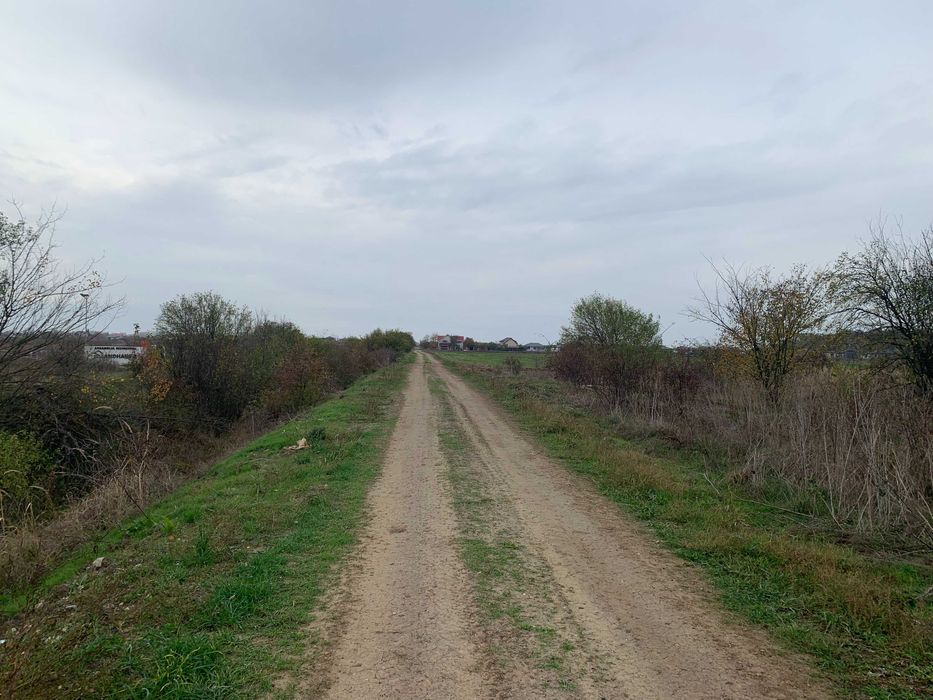 Teren de casa Sabareni linga padure 10 minute pina in Bucuresti