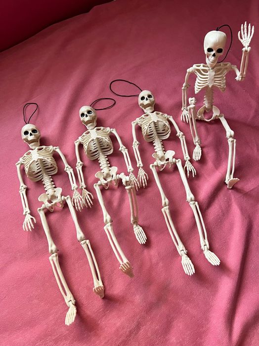 Продам новых скелетов