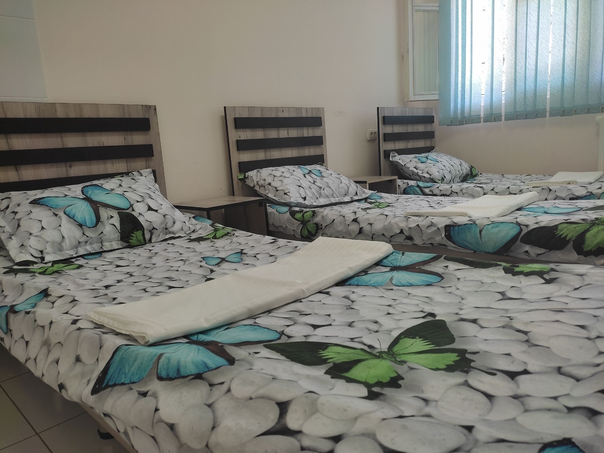 Hostel Xostel Уй квартира гостиница kvartira gostinsa Mehmonxona