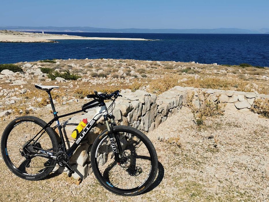 Bulls Bushmaster 29er XL