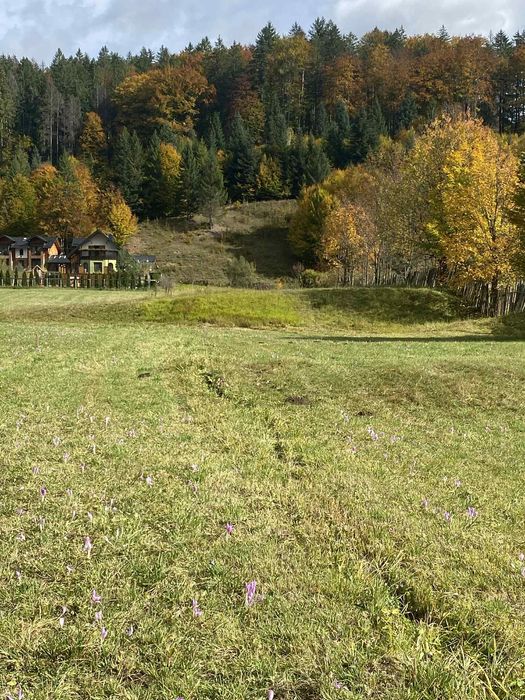 Vand teren in Voronet