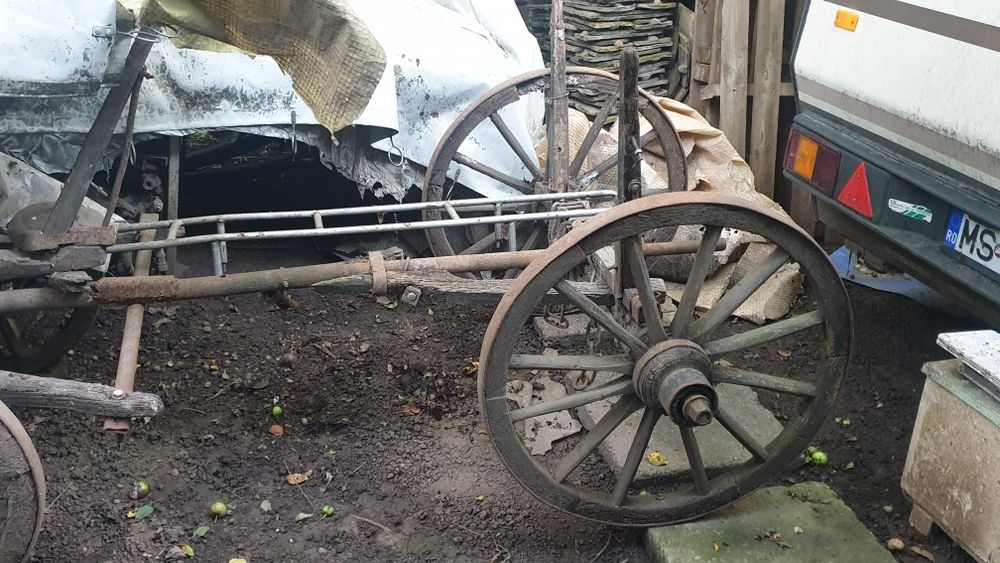 Car de boi 100% autentic