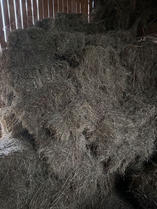 Baloți fân de munte