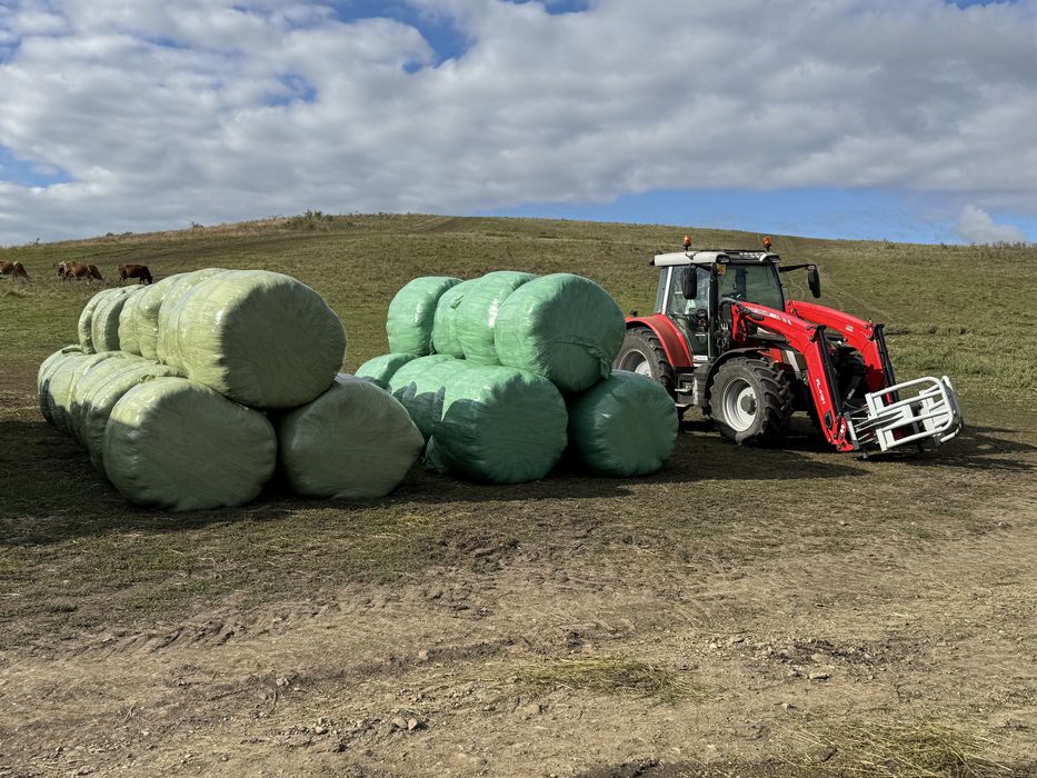 Baloti de lucerna infoliati