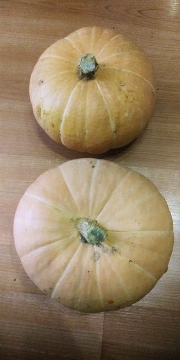 Продам дачную тыкву.
