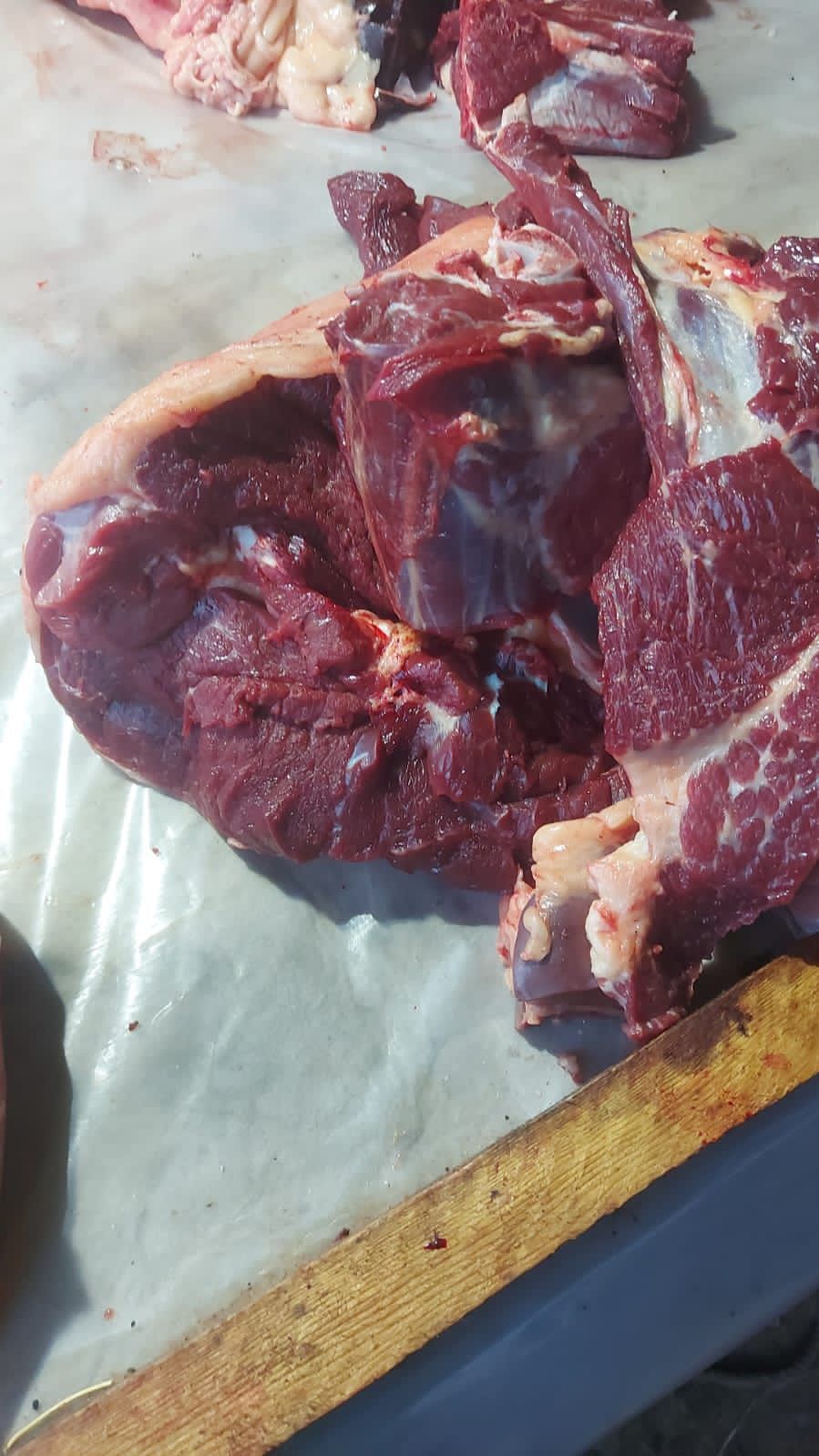Бүгінге дайын 2 жілік Жылқы еті Соғым мясо согым