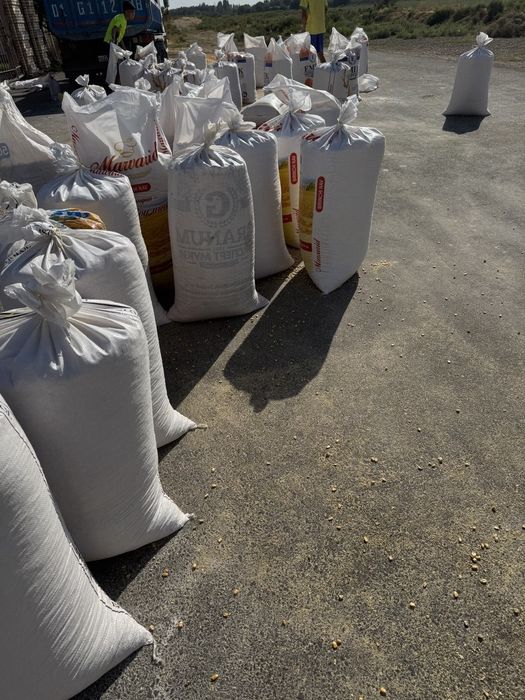 Маккажухори.сотилади 20 тонадан ошик.