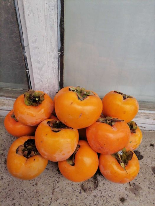 Узрели, Едри и Полезни Райски Ябълки