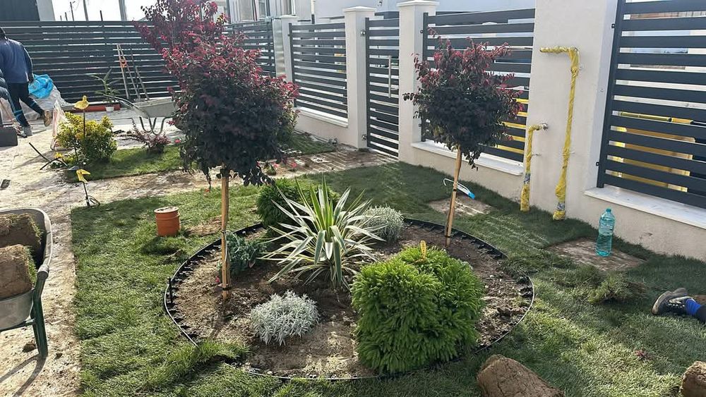 Amenajare gradina ,gazon,plante ornamentale, pietricele decorative