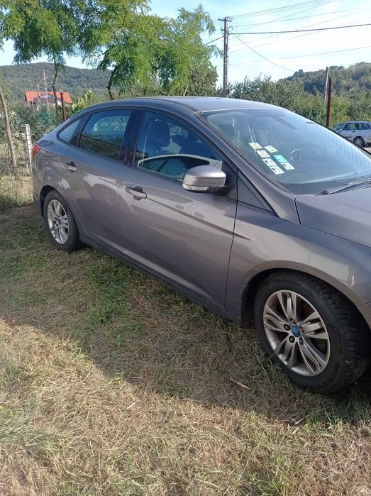 Ford Focus Ecobuster