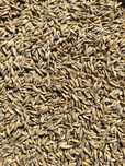 Vand ovaz, 1 leu/kg